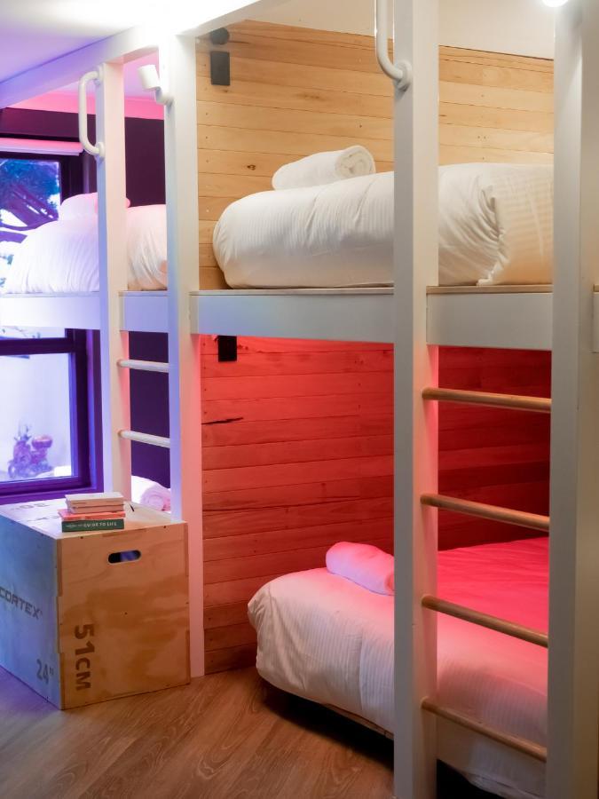 The Blue Hotel Bondi Сидней Экстерьер фото